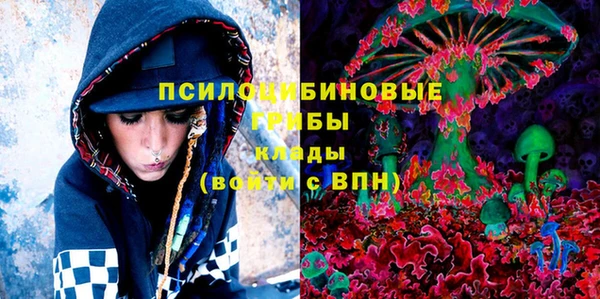 кокаин Белокуриха
