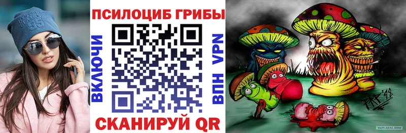 Псилоцибиновые грибы прущие грибы  Михайлов 